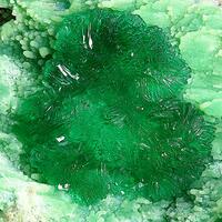 Goldhillite