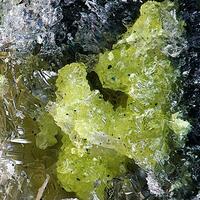 Tavorite