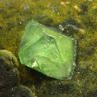 Ludlamite & Vivianite
