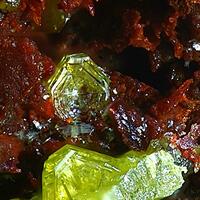 Sonoraite & Emmonsite
