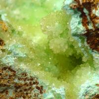 Senegalite