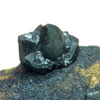 Djurleite
