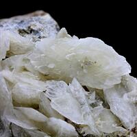 Colemanite