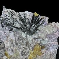 Fedorite With Charoite & Aegirine