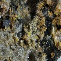 Plinius - Earth Treasures: 06 Jun - 13 Jun 2023