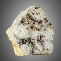 Vihorlatite With Telluronevskite