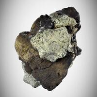 Stannite With Andorite