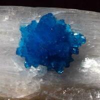 Cavansite On Stilbite