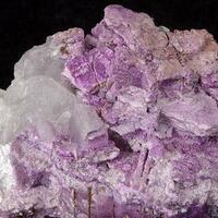 Sugilite On Apophyllite