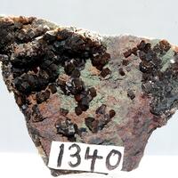 Apatite Var Francolite