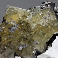 Fluorite & Brianyoungite