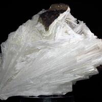 Scolecite