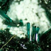 Atacamite With Olivenite & Picropharmacolite