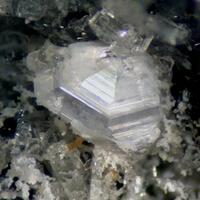 Farneseite With Vishnevite