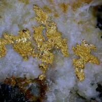 Gold With Pseudoboleite