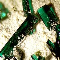 Atacamite Olivenite & Pseudomalachite