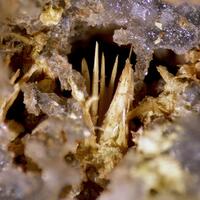 Ferrimolybdite