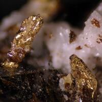 Gold & Sphalerite