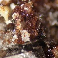 Canutite Magnesiokoritnigite Lavendulan & Halite