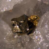 Native Gold & Pyrite