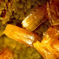 Wulfenite