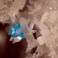 Caledonite & Linarite