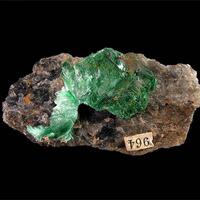 Metatorbernite