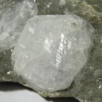 Phacolite