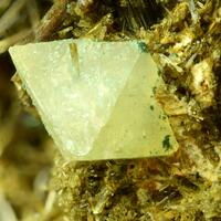 Wardite