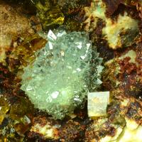 Pharmacosiderite Scorodite & Arthurite