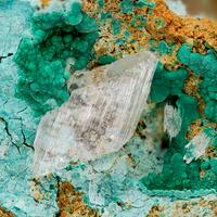 Gypsum & Malachite