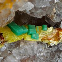 Autunite & Metatorbernite