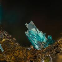 Rouaite Connellite & Cuprite