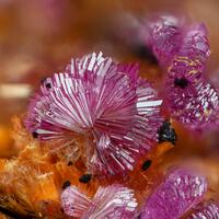 Strengite & Beraunite