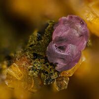 Pedro Alves Minerals: 18 Mar - 25 Mar 2023