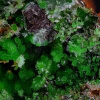 Olivenite & Conichalcite