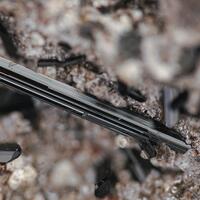 Ferro-hornblende & Sodalite