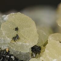 Prehnite