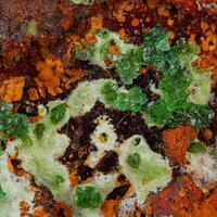 Agardite-(Ce) & Adamite