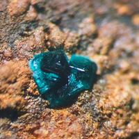 Paratacamite