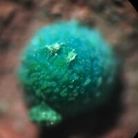 Chrysocolla