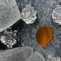 Erionite-K Faujasite
