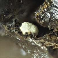 Beyerite