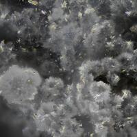 Cowlesite