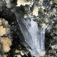 Hannebachite