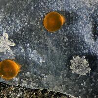 Erionite-K Phillipsite-K