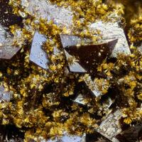 Goethite
