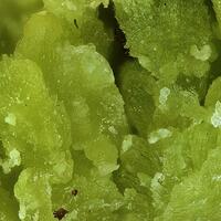 Calcioferrite
