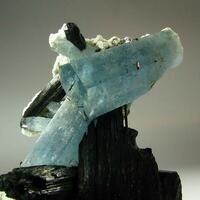 Aquamarine & Tourmaline Var Schorl