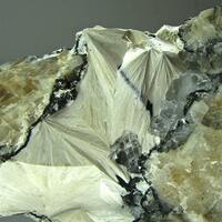 Pectolite